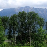 1505F 041 Chur(CH)-Mannheim
